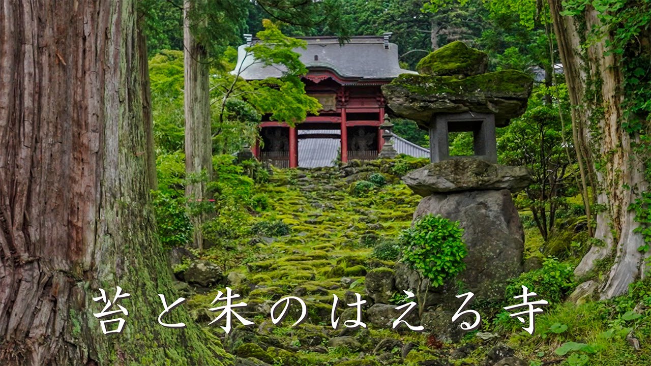 遊佐町 永泉寺 【水の郷に佇む緑豊かな苔寺】