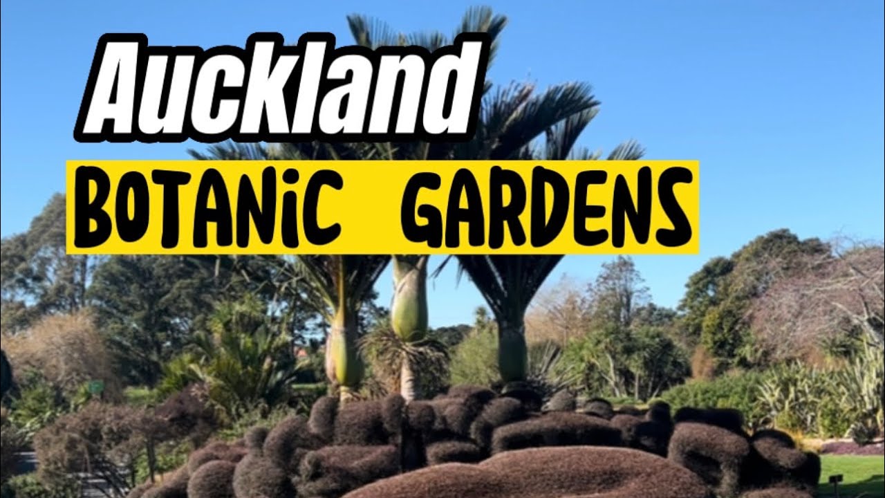 Auckland Botanic Gardens | Walk Tour | New Zealand🇳🇿