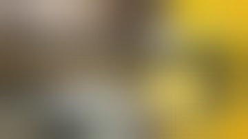 PAPERS, PLEASE AND BROTHERS: A TALE OF TWO SONS (Zero Punctuation)