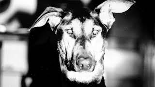 Doormouse - For Mamas Official