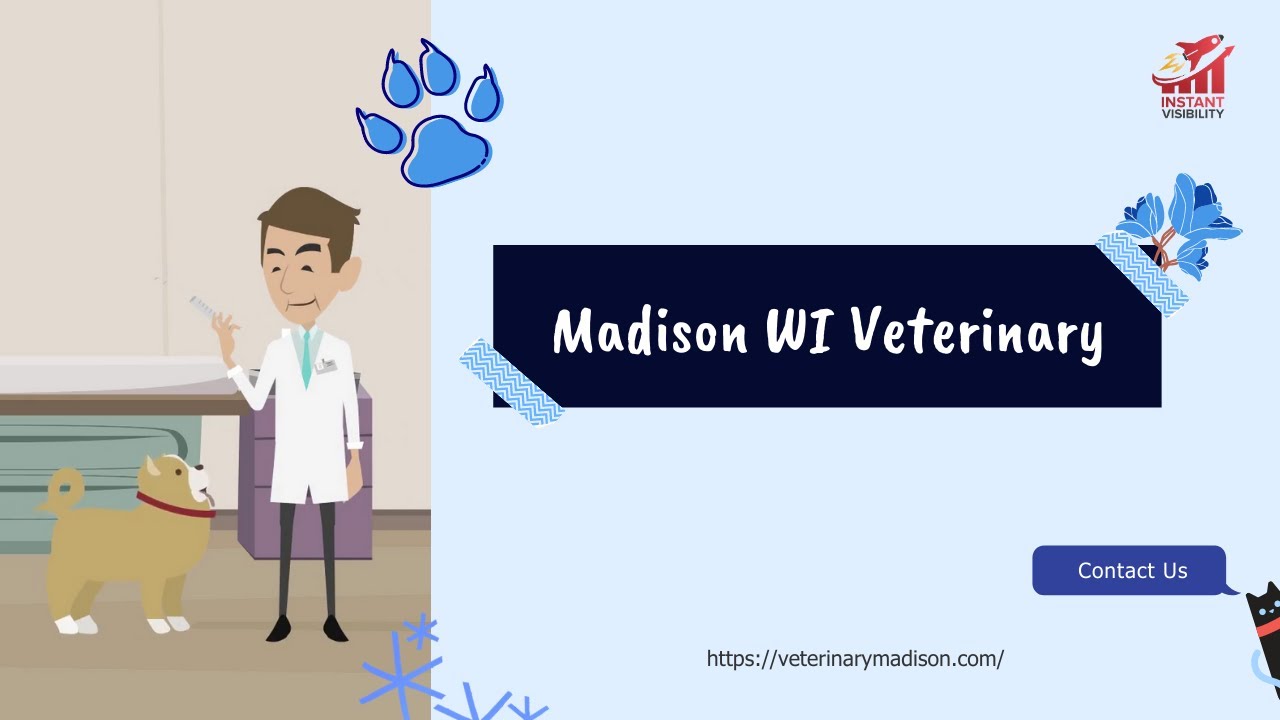 Madison WI Veterinary YouTube