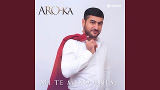 Sirun axchik es - ARO-ka