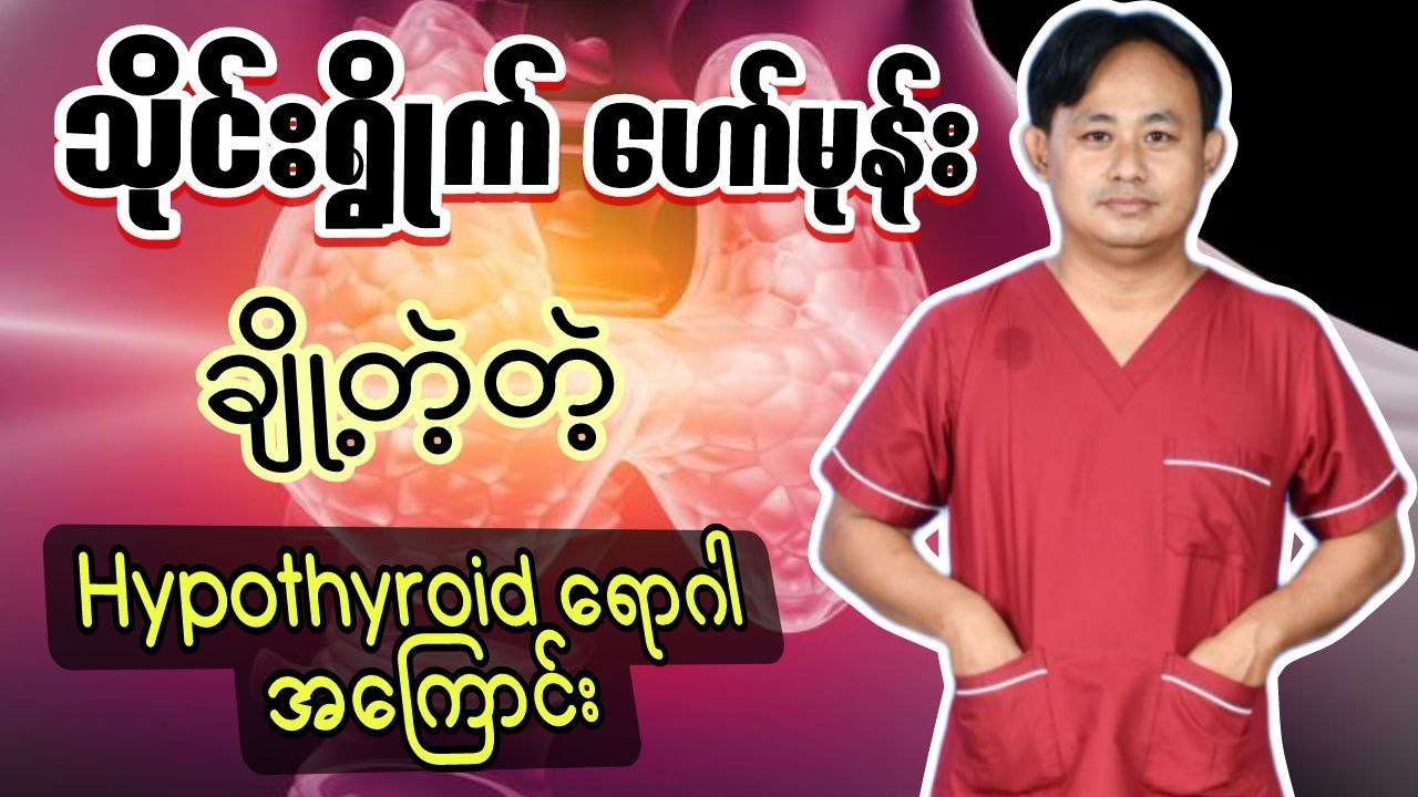 သိုင်းရွိုက်ဆေးသောက်နေပေမယ့် ဝိတ်မကျ၊ လူမလန်းဖြစ်နေလား? (Hypothyroid Comprehensive Guide)
