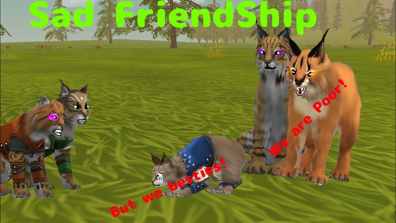 Sad FriendShip Wildcraft music video