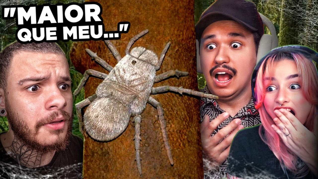 OS ANIMAIS PRÉ-HISTÓRICOS MAIS ASSUSTADORES!