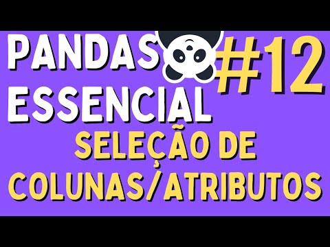 Manipulação de Dados em Python/Pandas - #12 Seleção de Colunas/Atributos