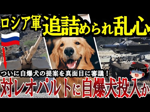 【ゆっくり解説】BMP大量破壊！ロシア軍追詰められ乱心か！レオパルト2VS自爆犬をまじめに審議【ゆっくり軍事ジャーナル】