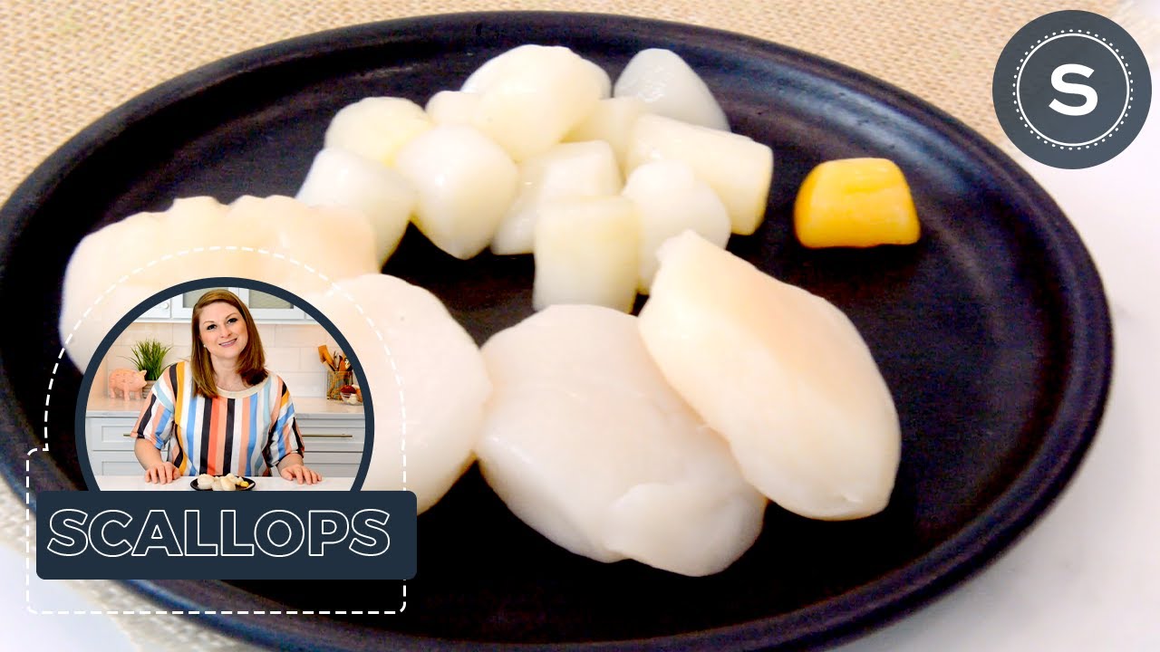 What Are Scallops? How To Cook Perfect Scallops & Scallop Recipes - YouTube