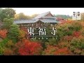 東福寺 Tofuku-ji / 空撮 紅葉 / 京都いいとこ動画