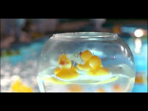 O2 Kačky- SMS Párty (20s) - TV Reklama - YouTube
