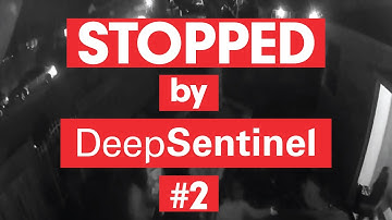 STOPPED by Deep Sentinel #2: Live Guards Stepping Up To Fight Crime