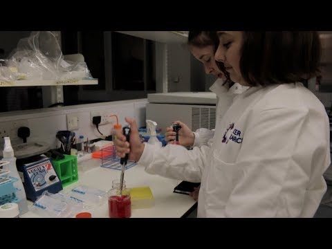 Watch Minimasters become scientists at The Institute of Cancer Research with Cancer Research UK