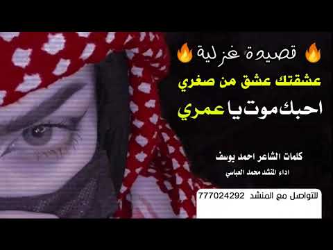 تسجيلات العباسي غزليه احبك موت يا عمري كلمات الشاعر احمد يوسف اداء المنشد محمد العباسي 777024292