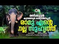 MariyadhaRamu3|Kunnathur Ramu|Kerala elephant|Kunnathoor Ramu|Ulsavakeralam-Ramu is my friend|EPI 36