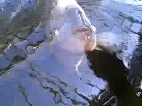 New Update Böser Fisch