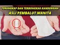 BAHAYA! TERNYATA INILAH KANDUNGAN PEMBALUT!