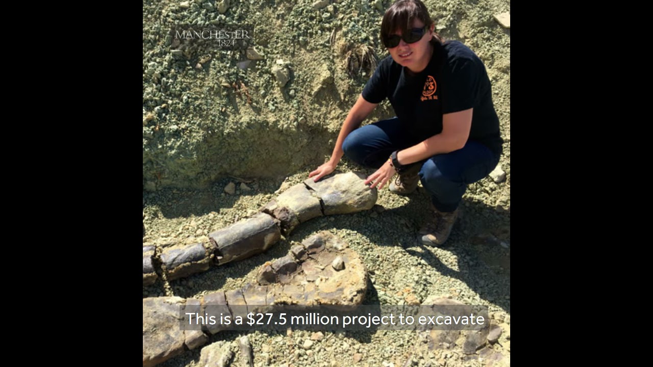 Unearthing The Jurassic Mile