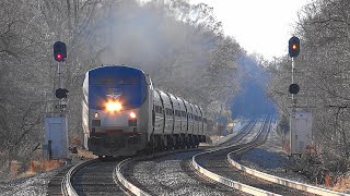 Amtrak & VRE Trains Seen in Rippon Station, Virginia