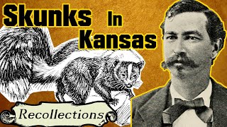 Skunks in Kansas described by Robert Wright (Recollections)