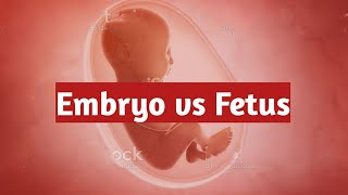 Embryo vs Fetus | Meaning and difference | Hindi