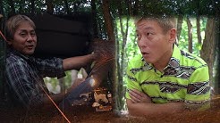 ちゃんねるダビッドソン Channel Davidson Youtube ちゃんねるダビッドソン Channel Davidson Youtube