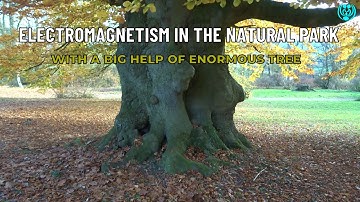 »ELECTROMAGNETISM IN THE NATURAL PARK« (With A Big Help Of Enormous Tree) (12/11/2025)