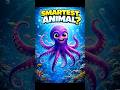 Is Octopus the Smartest Animal in the Ocean? 🐙 Mind-Blowing Facts #shorts