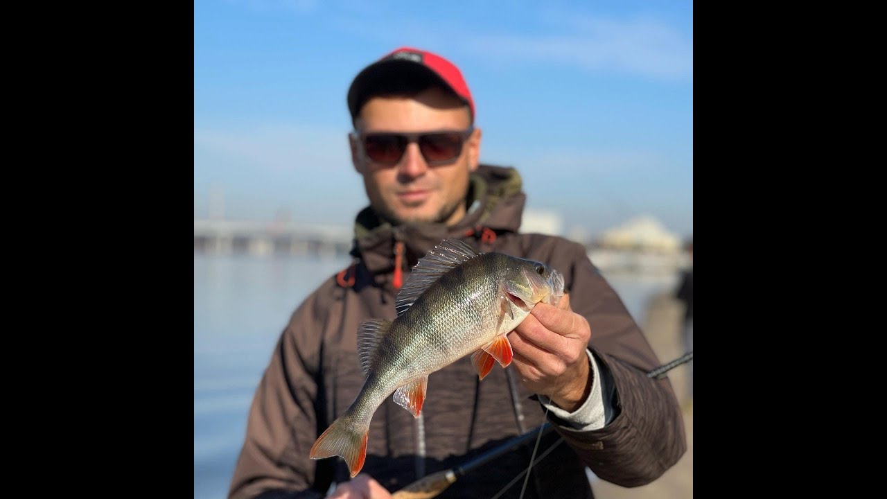 ✅ Ловля Толстых Преднерестовых Окуней ✅