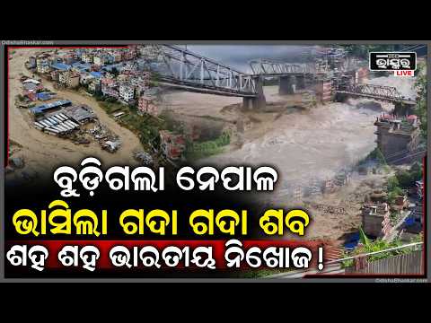 ବୁଡିଗଲା ନେପାଳ ଗଦା ହେଲାଣି ଶ-ବ ଭାସିଗଲେ ଅନେକ ଭାରତୀୟ... Massive Flash Flood hits Nepal