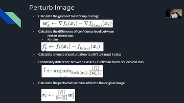 FIT3183 Assignment Video : DeepFool Attack