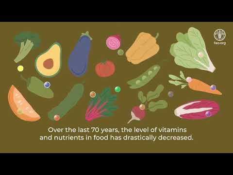 Soils: Where food