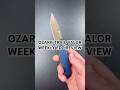 7 Day Carry: The Ozark Trail Valor #edc #everydaycarry #knifelife #shorts #budgetedc #budgetknives
