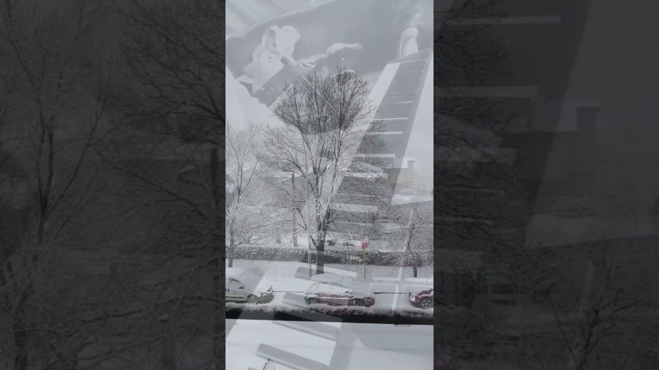 Mentre l'umanità continua a deluderci la natura continua a meravigliarci. Buon anno a tutti