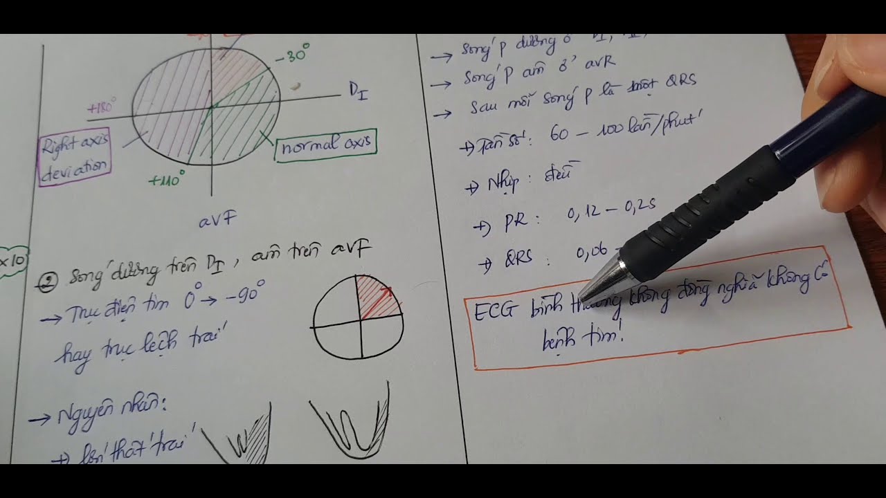 ECG cơ bản - phần 1