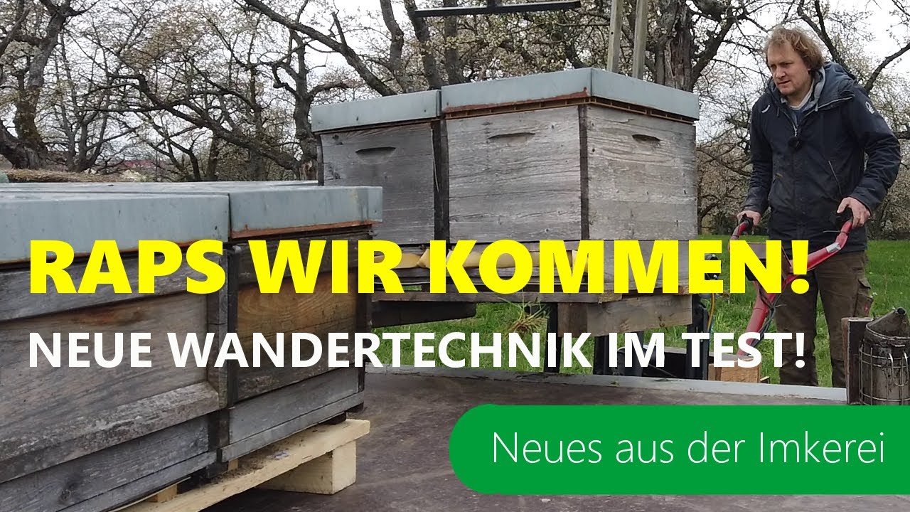 Es geht los! - Bienen an den Raps - Start ins Wanderjahr | Test Wanderkarre | Neues aus der Imkerei