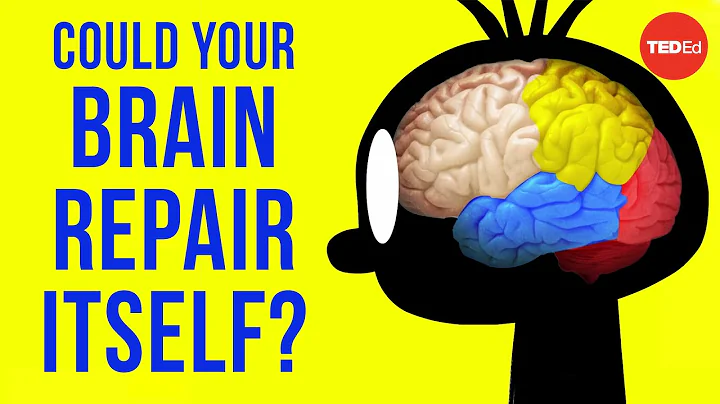 Could your brain repair itself? - Ralitsa Petrova