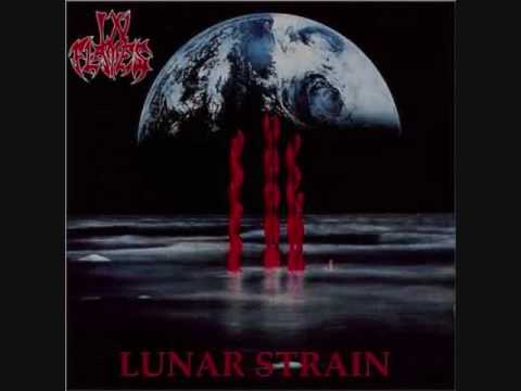 In Flames - Everlost