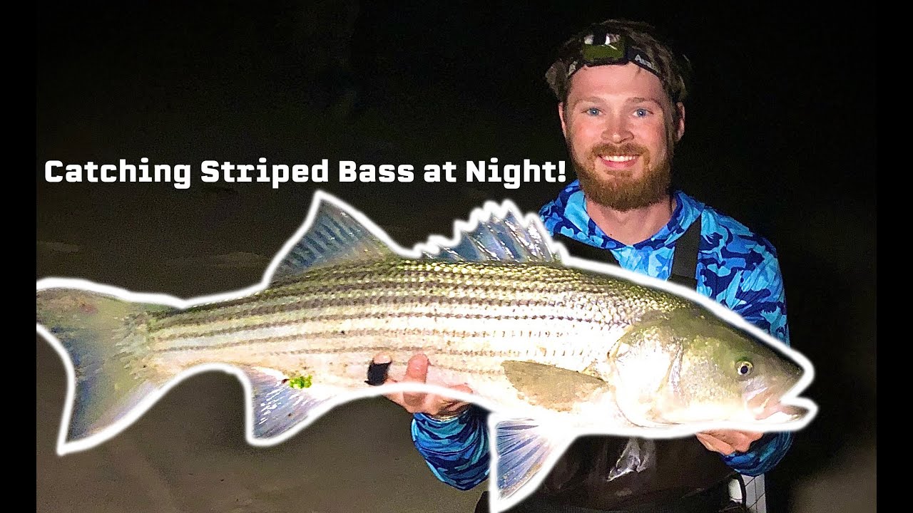 Night Fishing for Striped Bass