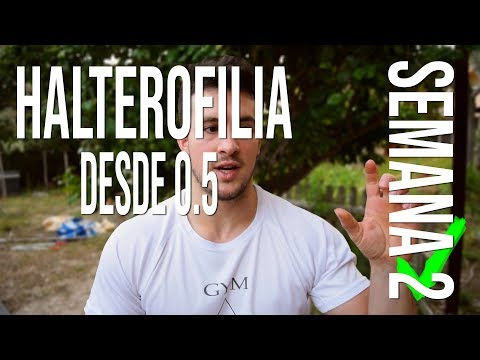 OBJETIVO: Aprender HALTEROFILIA correctamente desde 0 | semana 2