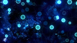 Blue Particles and Textures Looped Background Animation | Free Version Footage