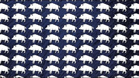 Feral Hogs in Missouri: Reproduction