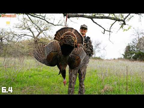 My FIRST RIO GRANDE Turkey! - WINGBONE Call GIVEAWAY thumbnail