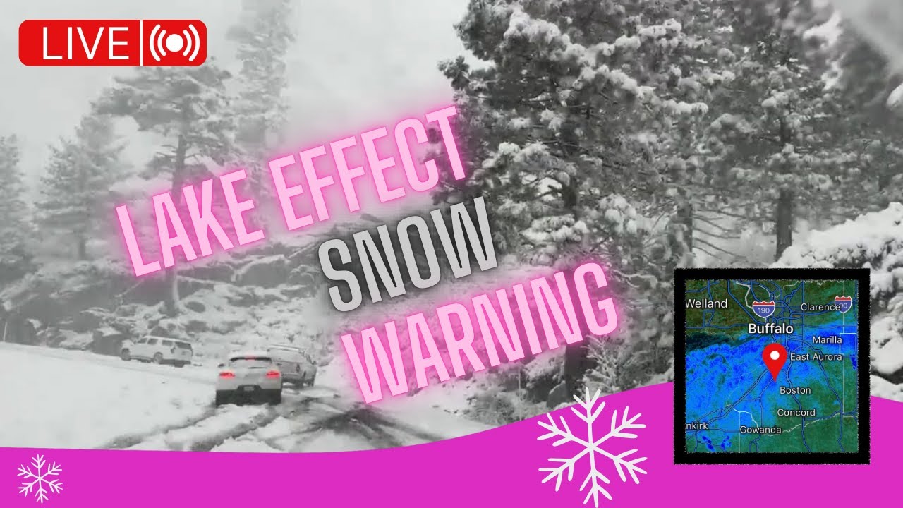 🚨 ️ LAKE EFFECT SNOW STORM- BUFFALO, NY- LIVE SNOW STORM CHASE - YouTube
