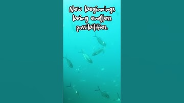 #Shorts Embrace Change #Adaptability #NewBeginnings ...
