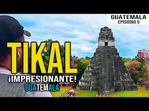 Vídeo: Parc nacional de Tikal: la guia completa