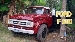 Reforma do Ford F600 Assoalho