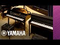 Yamaha CLP-700 Series Exclusive Broadcast