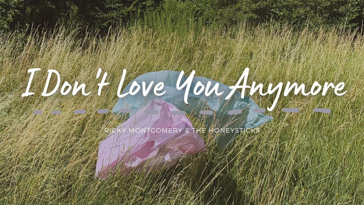 Ricky Montgomery & The Honeysticks - I Don't Love You Anymore (Lyrics