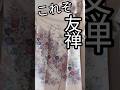 友禅作家『田村信之』の友禅訪問着 #着物 #kimono #友禅