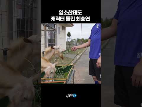 [라이온즈tv] 염소 먹이 주는 <strong>최충연</strong> #Shorts